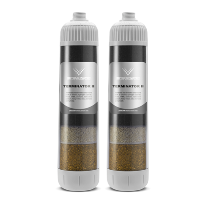 รูปภาพของ ท่อกรอง เทอร์มิเนเตอร์ ทู (รุ่นเก่า)